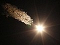 Sojus-Kapsel mit internationalem Team zur ISS gestartet