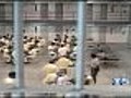 Deal Lifts Vacation Cap For California Prison Guards