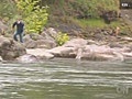 Man jumps in icy river running from police dog,  then he gets out and is tazed