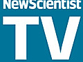 NS TV - Jan 2010