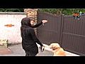 Garde chien: découvrez Animagora en vidéo!