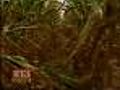 Group: Cut Emissions To Avoid Extreme Weather