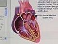 60% of Indians prone to heart disease