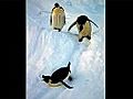 Learn about Antarctica