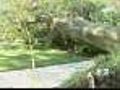 Massive Post-Storm Clean-Up Underway On L.I.