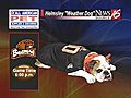 Helmsley the weather dog: Getting ready to root for the Beavers!