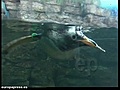 Nuevos inquilinos en el Oceanogràfic