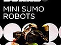 Mini Sumo Robots