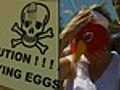 Torneio de lançamento de ovo atrai `atletas` na Inglaterra