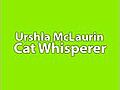 What Can I Do If I Have a Cat feeling Depressed?