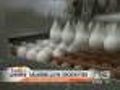 Iowa To Review Feed Mill At Center Of Egg Recall