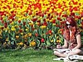 Spring heatwave across UK