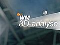 WM-3D-Analyse