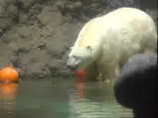 日本一の旅・動物園