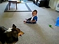 كلب يلعب مع طفل