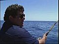 Looking for Sail Fish in Costa Rican Waters