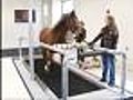 GREAT VIDEO: Horse Treadmill Helps Research
