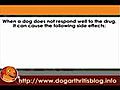 Tramadol Safely Use Dog Arthritis User Guides Part 1