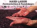 Hard Labor 8: Fermentation & Punchdown