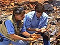 The Hunt For Amazing Treasures - Episode 3