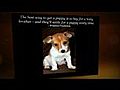 Timeless Wisdom in Funny Puppy Quotes