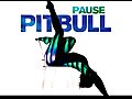 Pitbull - Pause (Audio)