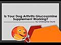 Is your dog glucosamine supplement working