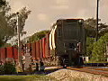 Royalty Free Stock Video HD Footage Freight Train Cars Pass by on the Tracks in Fort Lauderdale,  Florida