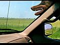 Zeus catching some open road again