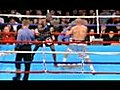 Great Knockout Punches