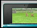 Nintendogs + Cats