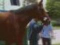 History Looms, Excitement Builds At Belmont