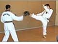 Olympic Taekwondo Round Kick