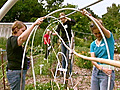 Urban Gardeners