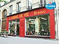 Bonsaï : Définition et histoire