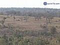 Wilde Natur im südafrikanischen Nationalpark