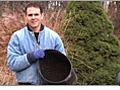 How to Fertilize Your Vegetable Garden