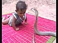 ❦ Cobra joue avec un enfant ❦