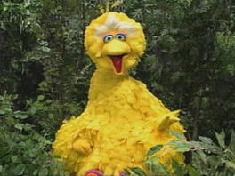 Big Bird Wants To Whistle