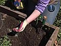 How To Properly Fertilize Your Garden