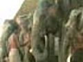 Elephant census held in Karnataka