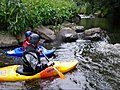 Jack paddling white water