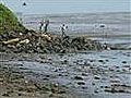 Mumbai oil spill spreads