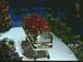 Memorial Features High Emotions,  Beautiful Tribute