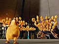 Hop: Easter Chicks (Tv Spot)