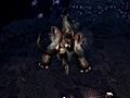 Dungeon Siege III - Co op gameplay footage 2