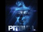Pitbull feat. Dominic - Pump It Up