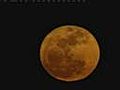 Sky gazers watch Supermoon