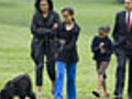 Water Dog: Obamas Introduce First Puppy