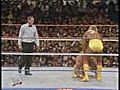 The Ultimate Warrior vs Hulk Hogan
